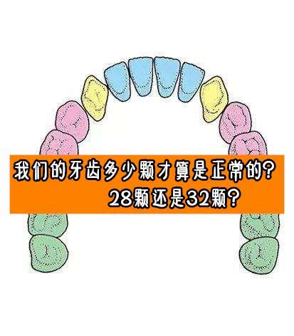 人有多少牙|我们的牙齿多少颗才算是正常的？28颗还是32颗？